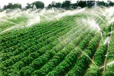 农业灌溉<a href='/cpzx/' target='_blank'><u>喷嘴</u></a>